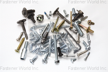 DELTEKS INDUSTRIES INC. , Standards and Semi-Standards Bulk and Bagged , All Kinds of Screws
