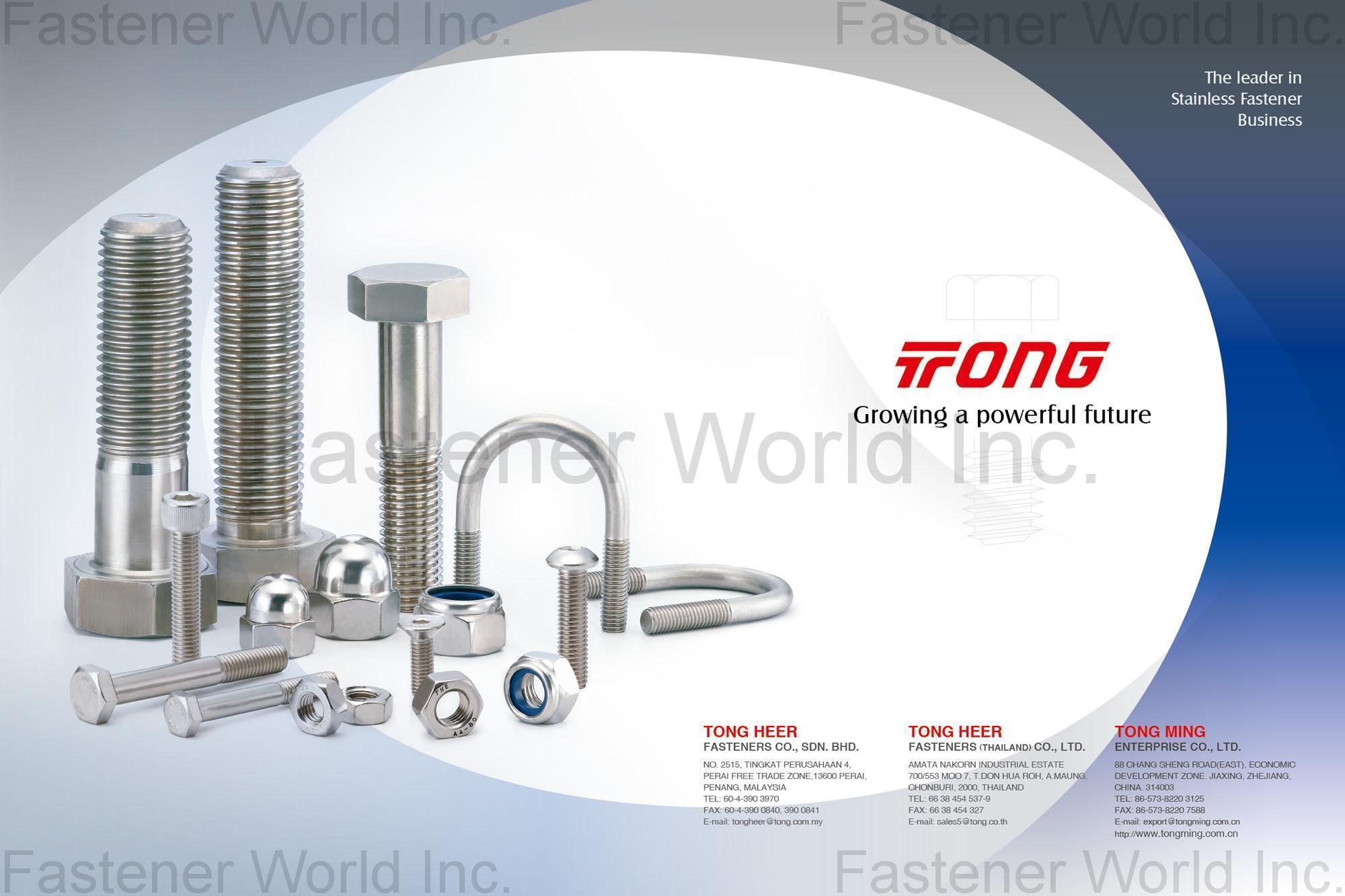 TONG HEER FASTENERS CO., SDN. BHD  , Stainless Steel Fasteners