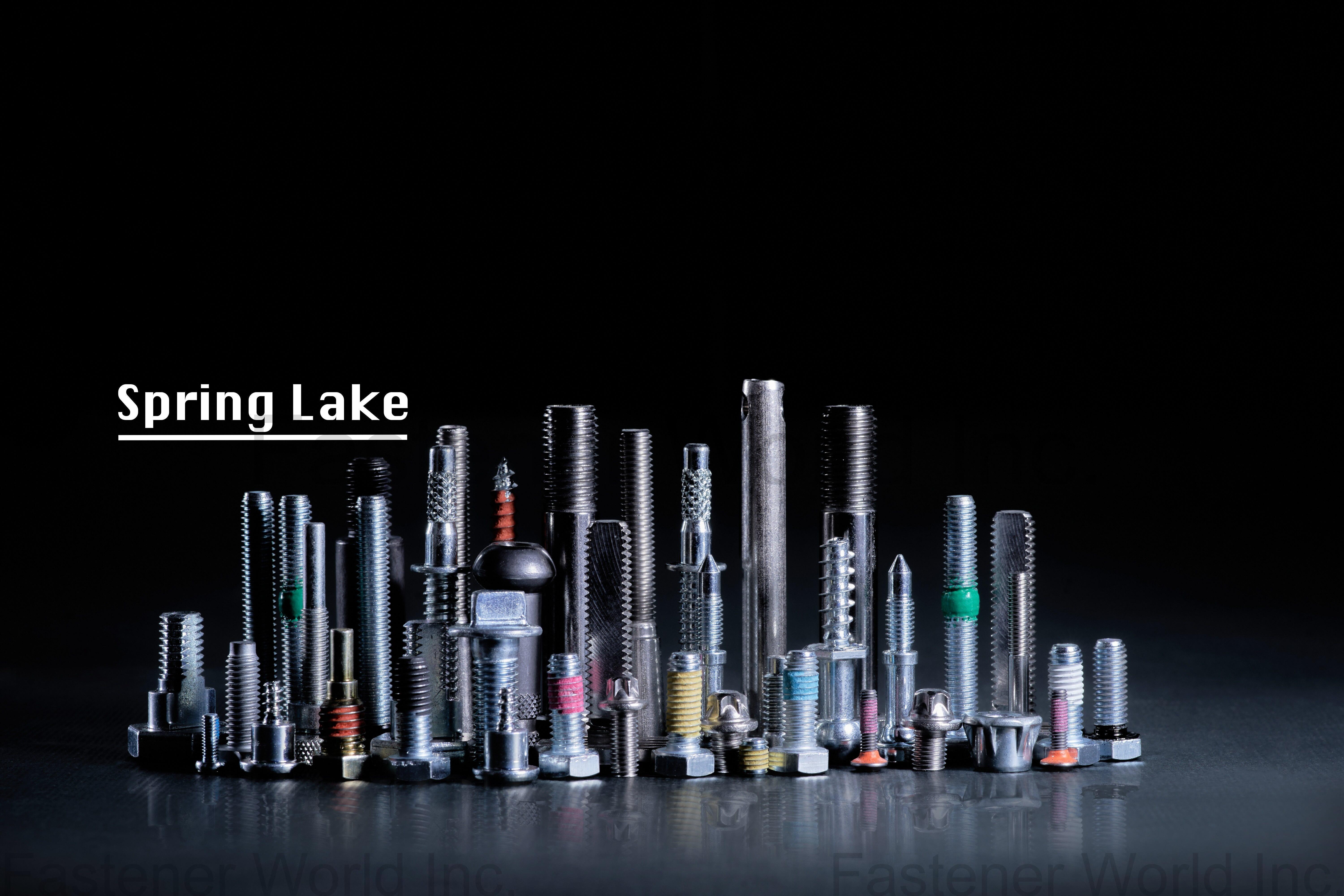 SPRING LAKE ENTERPRISE CO., LTD.  , Multi-Stage Screws & Parts