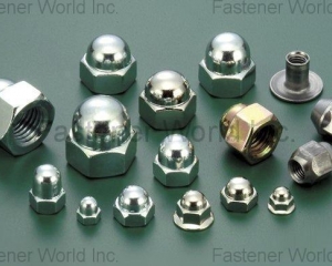 fastener-world(CHAO HSING HARDWARE CO., LTD.  )