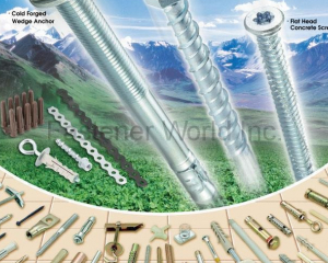  Expansion Wall Anchors & FIXING SYSTEM COLD FORGED WEDGE ANCHOR, HEX HEAD CONCRETE SCREW, FLAT HEAD CONCRETE SCREW, HOLLOW WALL ANCHOR(HWALLY PRODUCTS CO., LTD. )