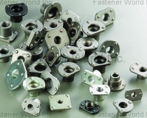Special Welding Nuts(DA YANG SPECIAL NUTS)