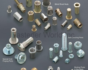 Blind Rivet Nuts / Special Cold Forging Parts / Self Clinching Parts / Brass Inserts / Binding Posts & Sex Bolts(SUPER NUT INDUSTRIAL CO., LTD. )