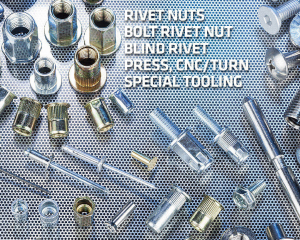 Rivet Nuts, Bolt Rivet Nut, Blind Rivet, Press, CNC/Turn, Special Tooling(FILROX INDUSTRIAL CO., LTD. )