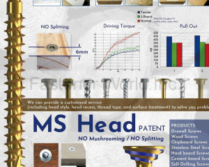 MS Twister Screw_Patent(FONG PREAN INDUSTRIAL CO., LTD.)