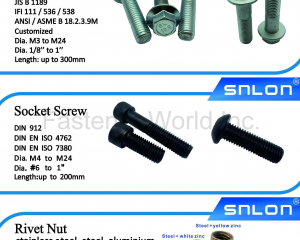 Flange Screw, Socket Screw ,Allen Screw(Zhejiang Ruizhao Technology Co., Ltd.)
