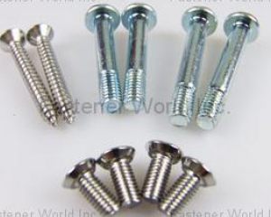 Stainless screw(JAU YEOU INDUSTRY CO., LTD.)