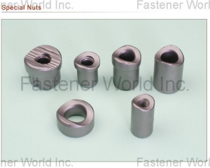 fastener-world(DA YANG SPECIAL NUTS )