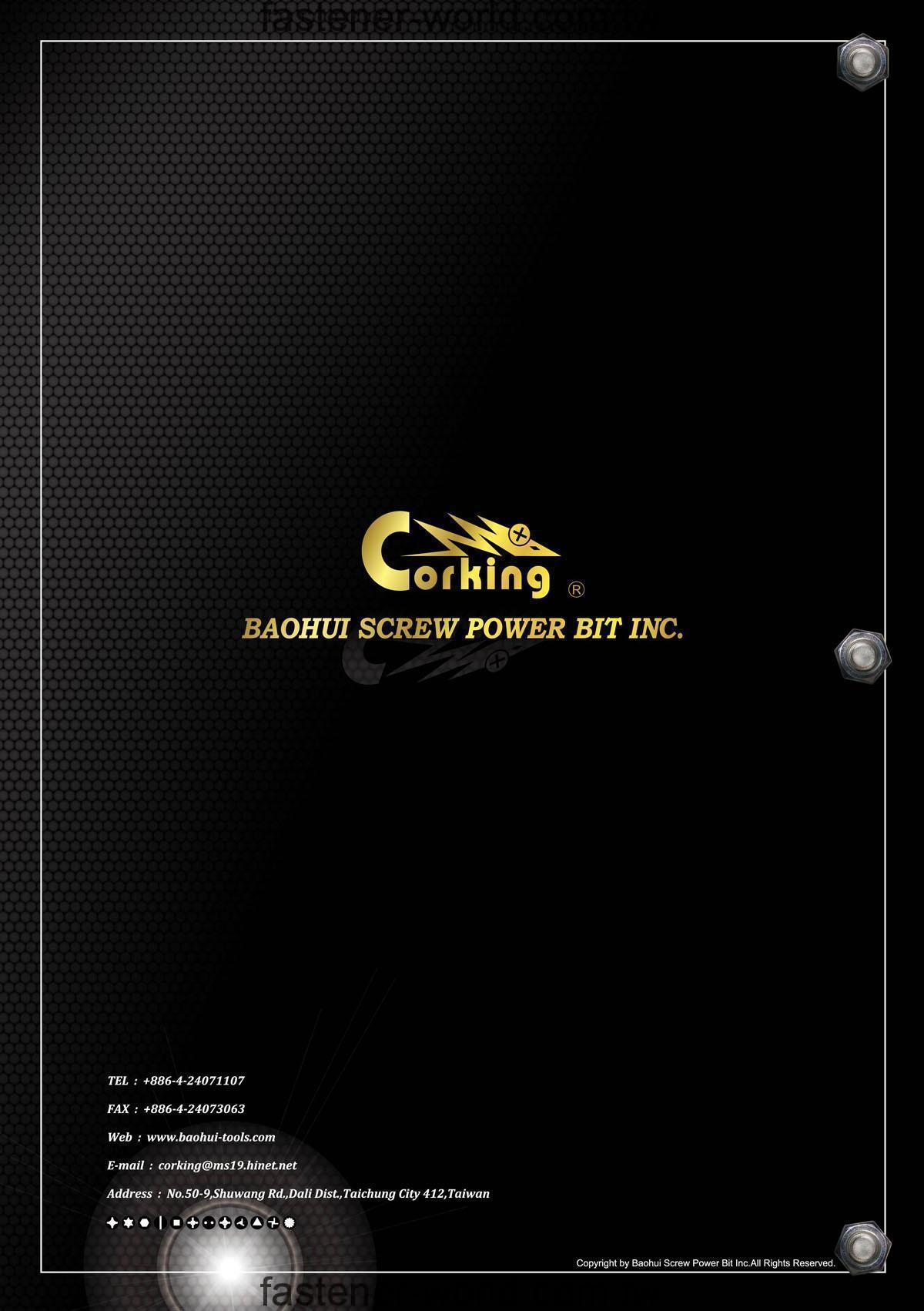 BAOHUI SCREW POWER BIT INC.  Online Catalogues