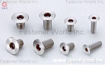 GA-E Industrial Precision Co., Ltd. , Titanium Alloy Hex Socket Flat Bolt , Titanium Screws