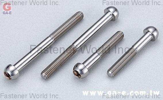 GA-E Industrial Precision Co., Ltd. , Titanium Screws