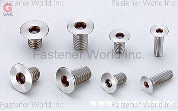 GA-E Industrial Precision Co., Ltd. ,  Titanium Alloy Hex Socket Flat Bolt , Titanium Screws