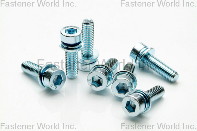 HO HONG SCREWS CO., LTD.  , DIN6905&DIN6902 Washer , Washers