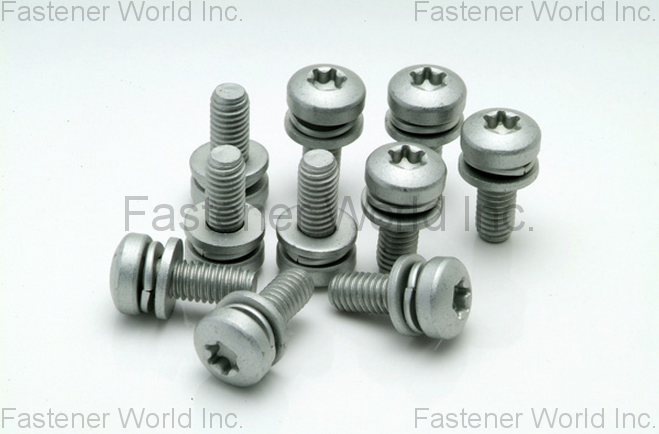 HO HONG SCREWS CO., LTD.  , DIN6905&DIN6902 Washer , Washers