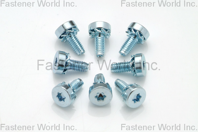 HO HONG SCREWS CO., LTD.  , DIN6907 Washer , SEMS Screws