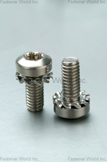 HO HONG SCREWS CO., LTD.  , DIN6907 Washer , SEMS Screws