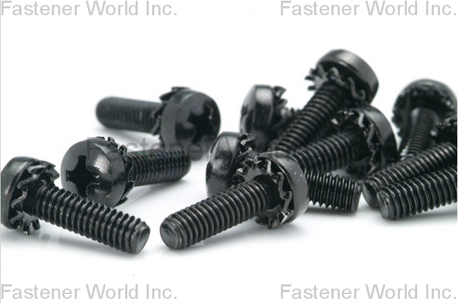 HO HONG SCREWS CO., LTD.  , DIN6907 Washer , Washers