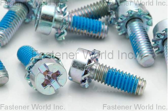 HO HONG SCREWS CO., LTD.  , DIN6907 Washer (Nylok Blue Patch) , SEMS Screws