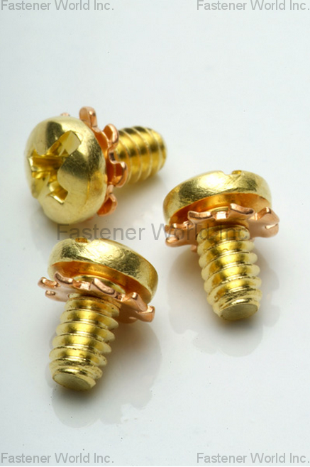 HO HONG SCREWS CO., LTD.  , External Tooth Washer , External Tooth Washers