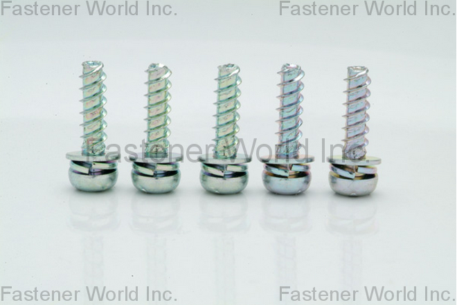 HO HONG SCREWS CO., LTD.  , Split Lock & Flat Washer , Flat Washers