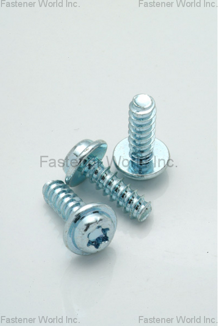 HO HONG SCREWS CO., LTD.  , EJOT Screw , Special Screws