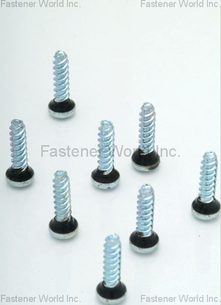 HO HONG SCREWS CO., LTD.  , Nyplas Screw , Special Screws