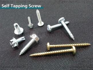 Stainless Steel Self Tapping Screws Self Tapping Screw