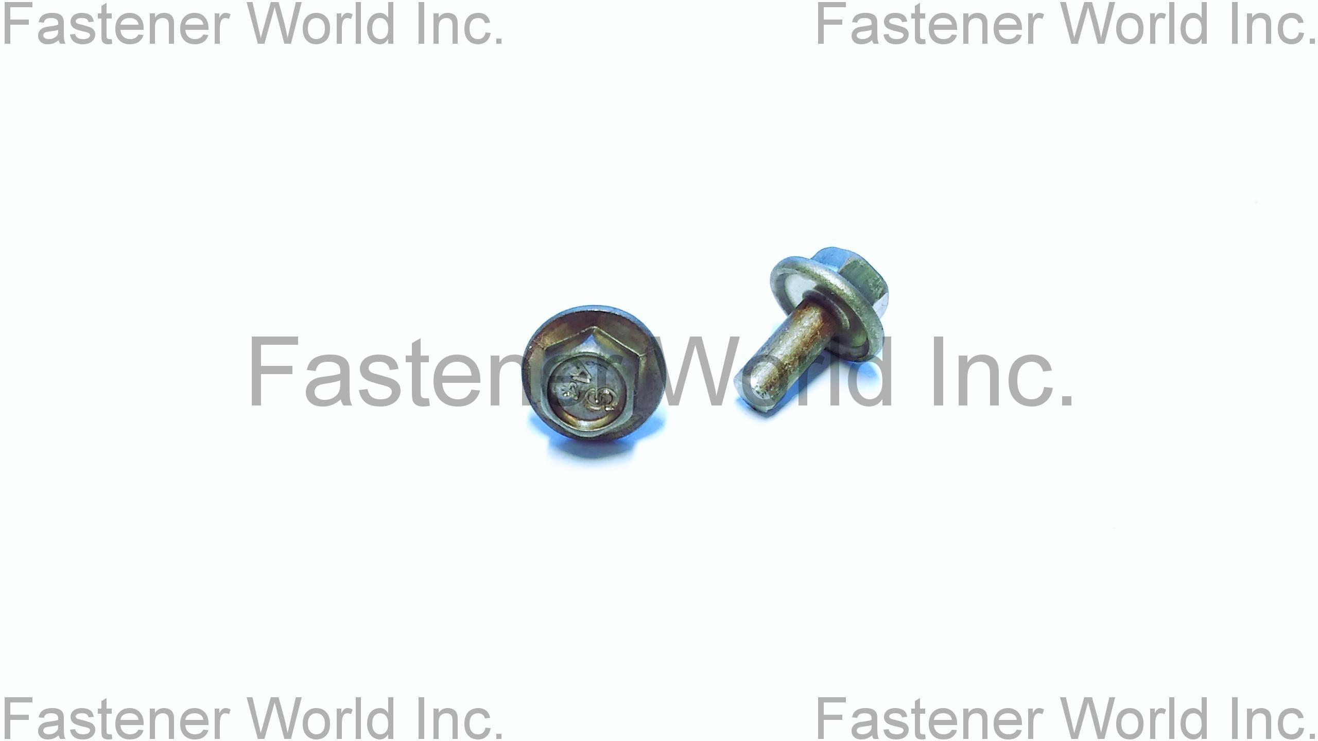 TONG HO SHING INTERNATIONAL CO., LTD. , Hexagon Head Cap Screws