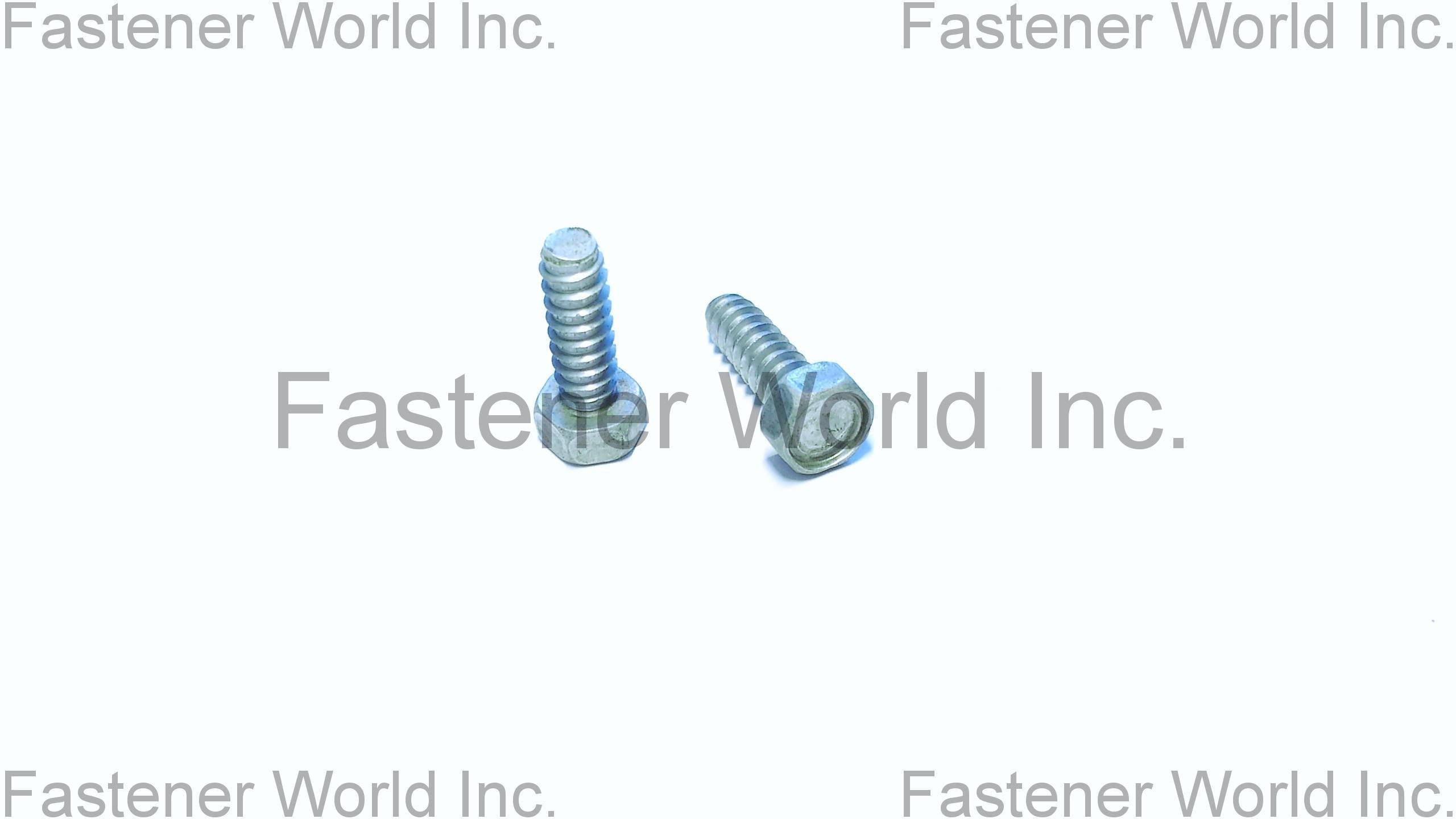 TONG HO SHING INTERNATIONAL CO., LTD. , Hexagon Head Cap Screws