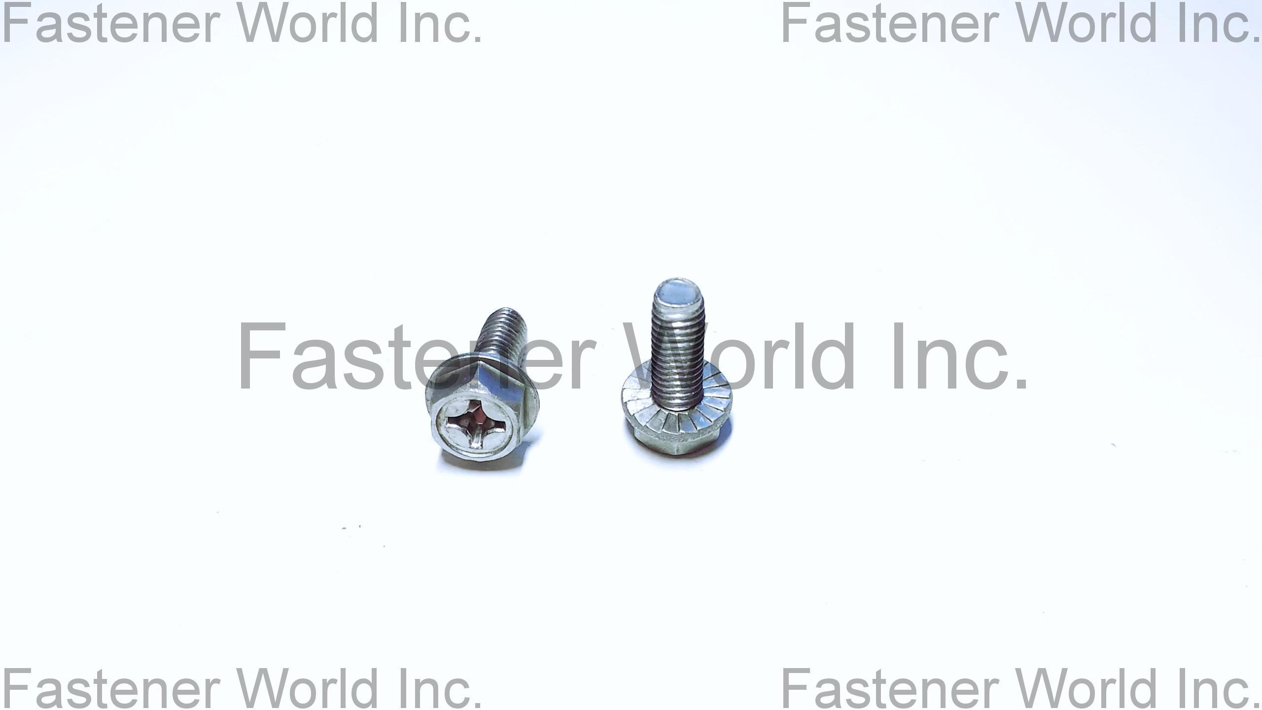 TONG HO SHING INTERNATIONAL CO., LTD. ,  Pt Screws , Pt Screws