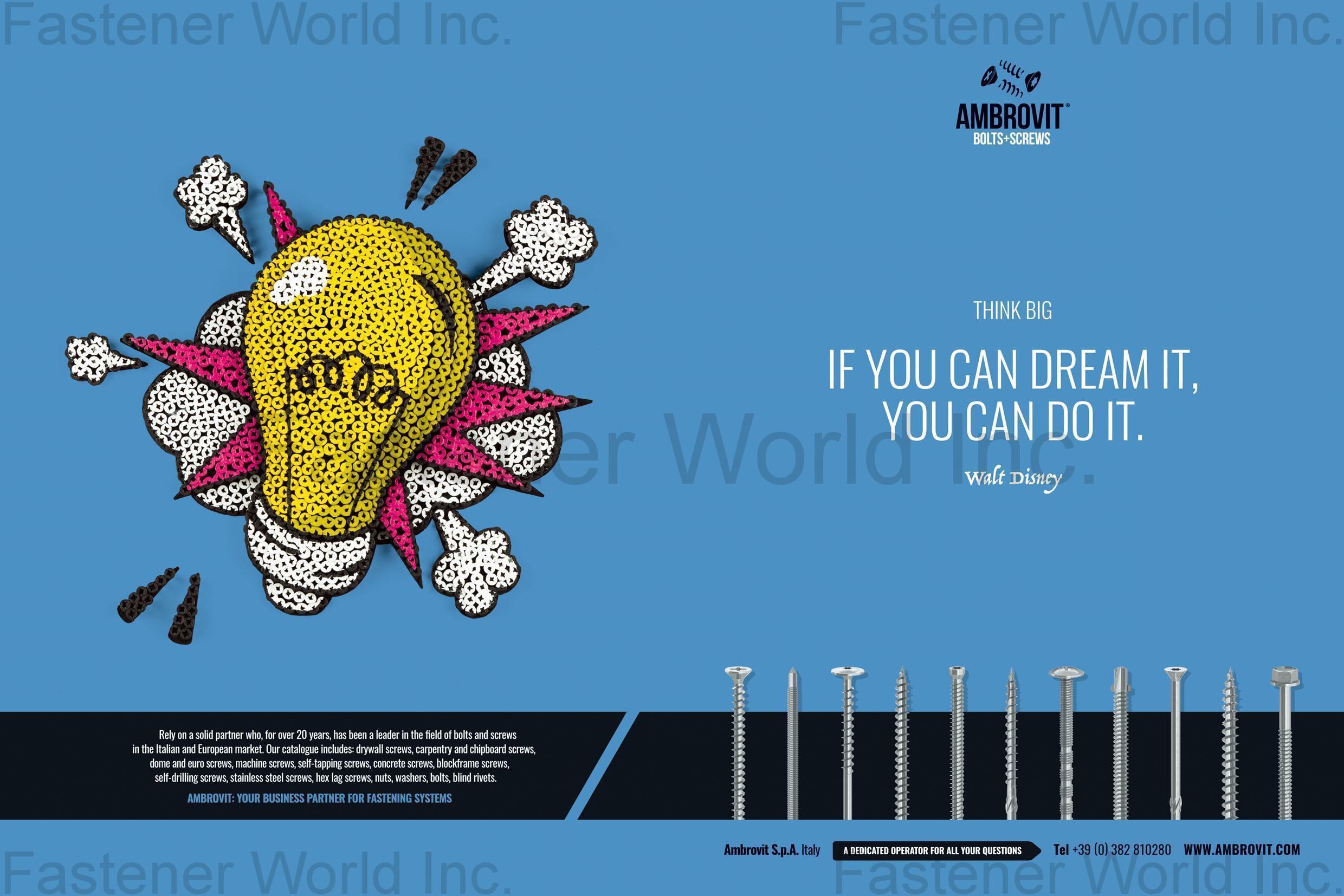 AMBROVIT S.P.A. , 各式螺絲