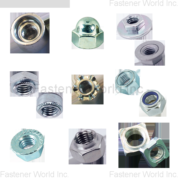 All Accomplishment International Corp. , Nut and Bushing Series: BUSHING AND TUBE, WELD NUT, INSERT NUT AND CLINCH NUT, DOME CAP NUT AND ACORN NUT, SPECIAL NUTS AND OEM NUTS