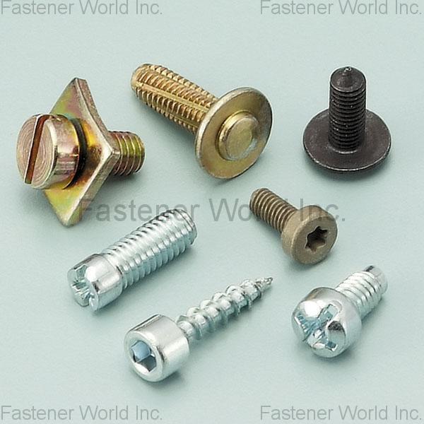 SPECIAL FASTENERS ENGINEERING CO., LTD. (SFE) , SPECIAL SCREWS & BOLTS , Special Screws