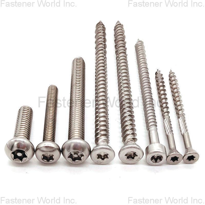 JIAXING HAINA FASTENER CO., LTD. , SS304 SS316 Self Tapping Screw