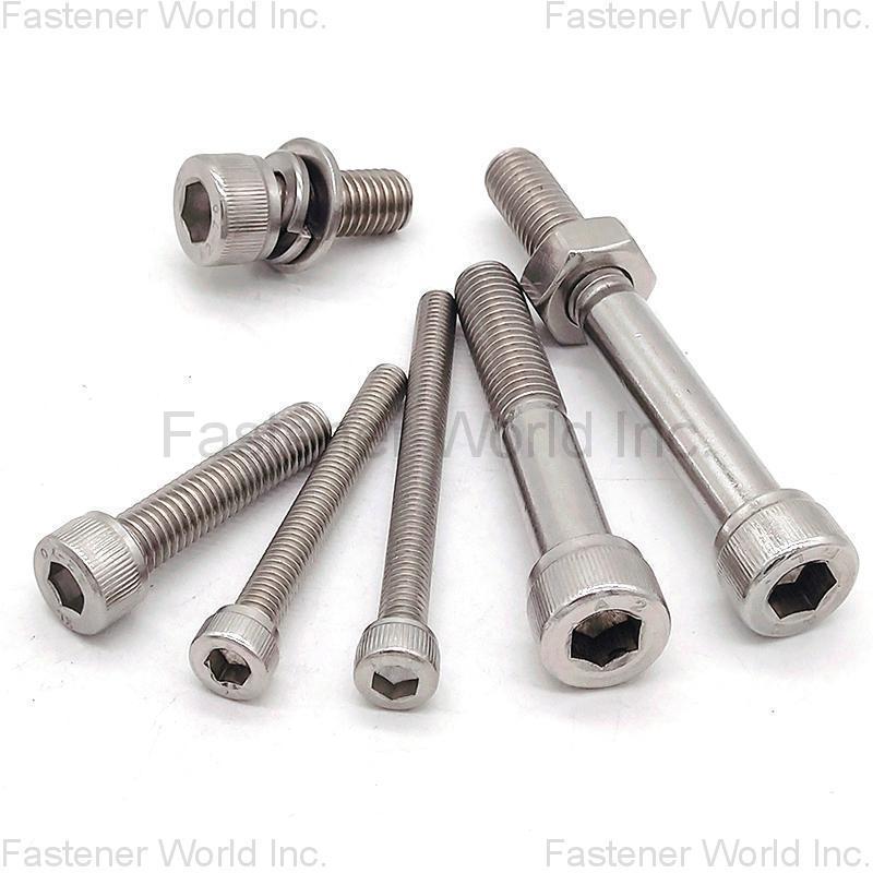 JIAXING HAINA FASTENER CO., LTD. , Hex socket A2 A4 machine screw