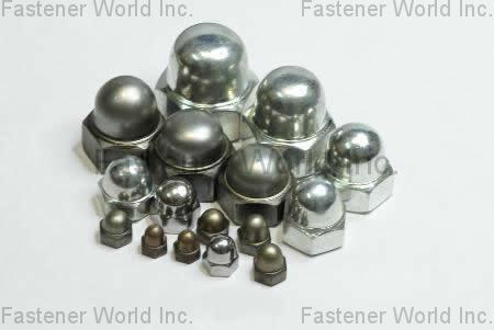 SHANGHAI QIANGYI FASTENER CO., LTD.  , Cap Welded Nut , Cap Nuts