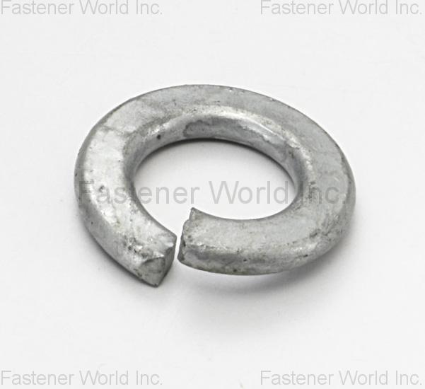ZE XIN FASTENERS , Spring Washer