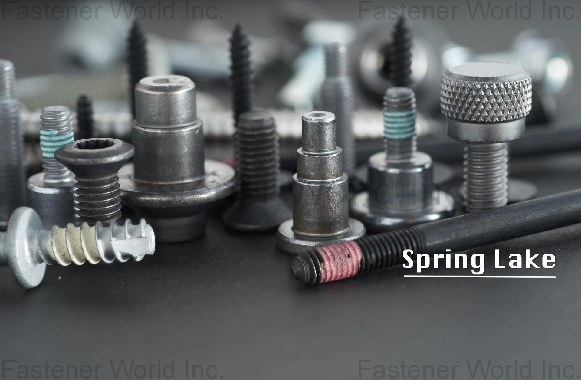 SPRING LAKE ENTERPRISE CO., LTD.  , Multi-Stage Cold Forging Parts