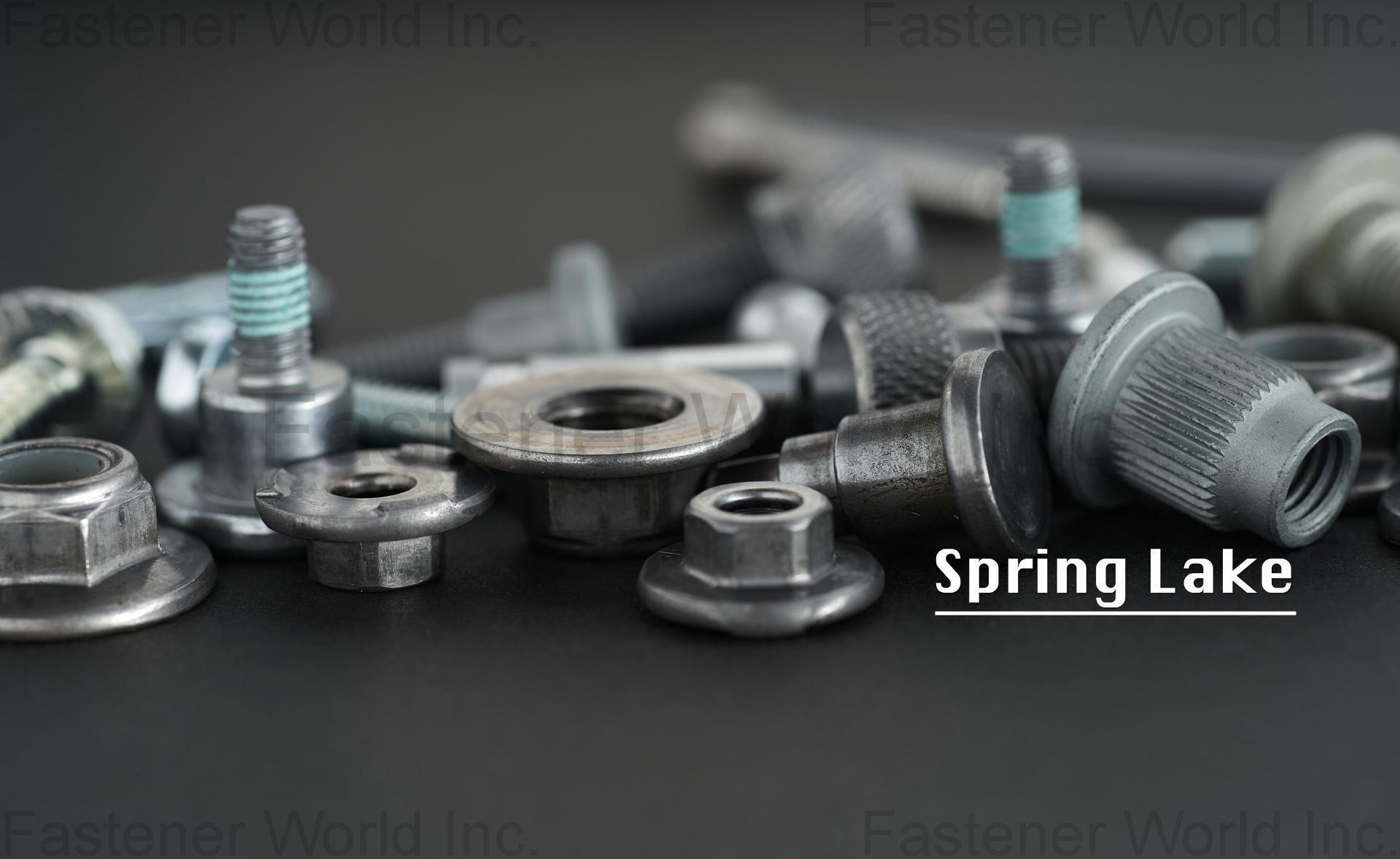 SPRING LAKE ENTERPRISE CO., LTD.  , Special Cold Forged Screw/Nut