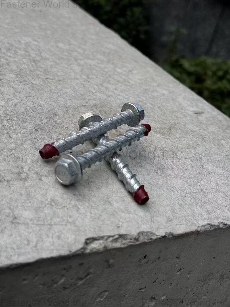 HANDAN TEDUN FASTENER GROUP CO., LTD.