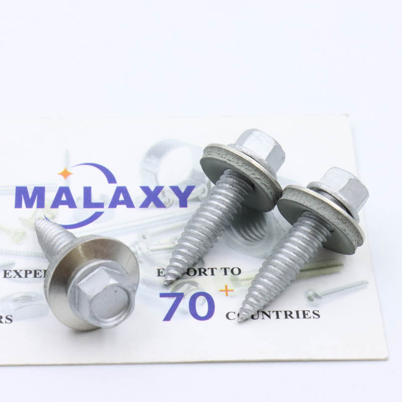 Shanghai Malaxy Industry Co., Ltd.
