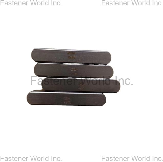 JIANGSU ZSA INDUSTRY CO., LTD , 2205/1.4462flatkey