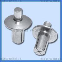 AMPLE LONG INDUSTRY CO., LTD. , Drive Rivet , Drive Rivets