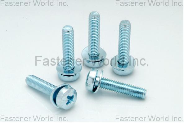 HO HONG SCREWS CO., LTD.  , DIN6904 Washer , Washers