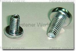 GINFA WORLD CO., LTD.  , Trilobe Screw , Special Screws