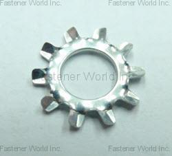 HAUR FUNG ENTERPRISE CO. LTD.  , Washers , Special Washers
