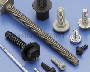 fastener-world(INFASTECH/TRI-STAR LIMITED TAIWAN BRANCH )