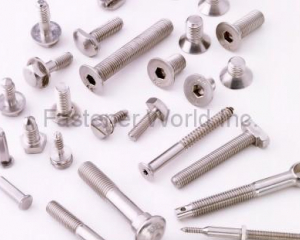 Special stainless steel bolts & screws(FU HUI SCREW INDUSTRY CO., LTD. (FUKUNG  HARDWARE  CO.  LTD.))
