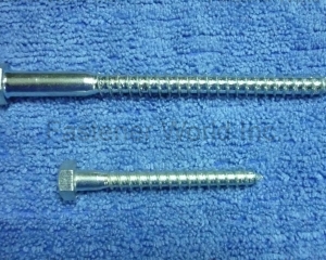 HEX LAG SCREW/ DIN571(PAR EXCELLENCE INDUSTRIAL CO., LTD. )