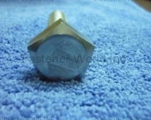 fastener-world_PAR EXCELLENCE INDUSTRIAL CO., LTD. fastener-world(PAR EXCELLENCE INDUSTRIAL CO., LTD. )
